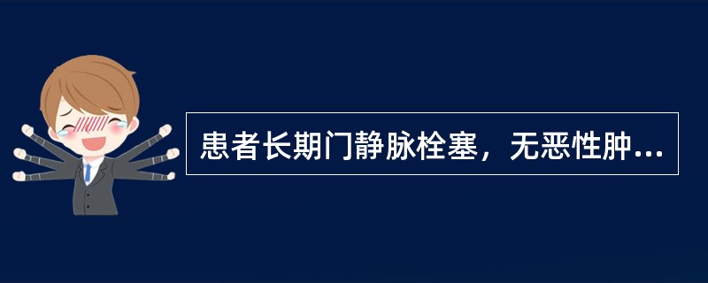 患者长期门静脉栓塞，无恶性肿瘤病史，根据所提供的图像，最可能的诊断()