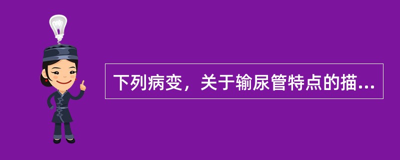 下列病变，关于输尿管特点的描述哪项是错误的()