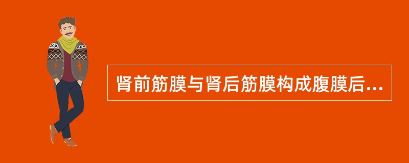 肾前筋膜与肾后筋膜构成腹膜后腔，其内有以下结构存在()