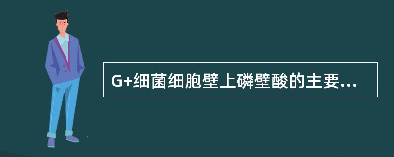 G+细菌细胞壁上磷壁酸的主要生理功能为（）、（）、（）和（）等几种。