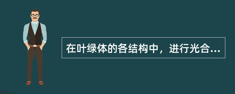 在叶绿体的各结构中，进行光合作用的实际部位是（）。