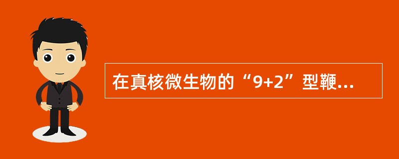 在真核微生物的“9+2”型鞭毛中，具有ATP酶功能的构造是（）。