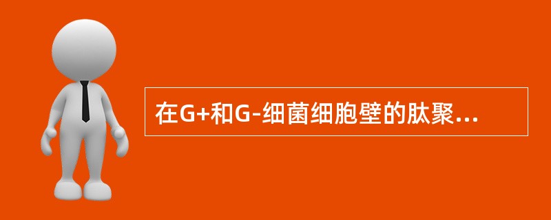 在G+和G-细菌细胞壁的肽聚糖结构中，甘氨酸五肽是其肽桥的常见种类。（）