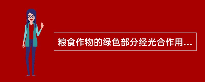 粮食作物的绿色部分经光合作用而形成的初始产物是（）。