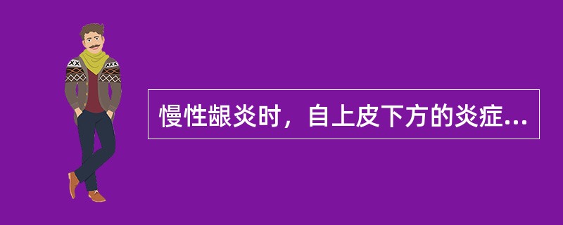 慢性龈炎时，自上皮下方的炎症细胞浸润层依次是（）