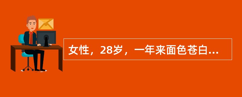 女性，28岁，一年来面色苍白，乏力气短。检验：红细胞2．5×1012／L，血红蛋