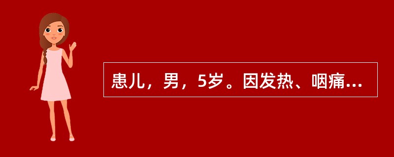 患儿，男，5岁。因发热、咽痛、呼吸困难2天入院，查体：体温38.6℃，脉搏100