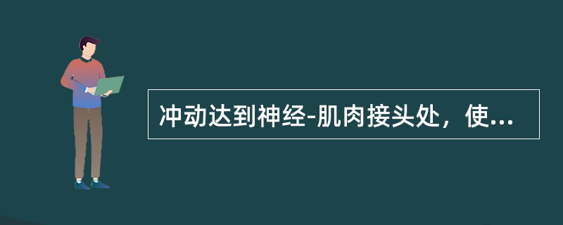 冲动达到神经-肌肉接头处，使突触前膜释放（），使终板膜主要对（）通透性增加。