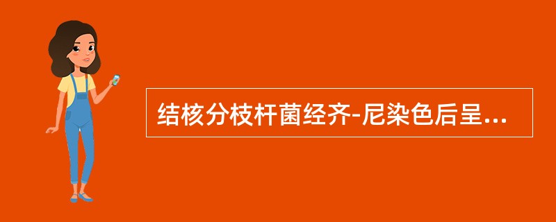 结核分枝杆菌经齐-尼染色后呈红色。