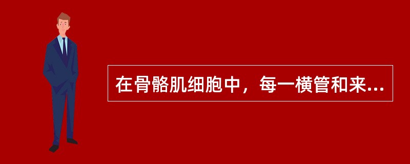 在骨骼肌细胞中，每一横管和来自两侧肌小节的终管终末池构成的结构称为（），它是骨骼