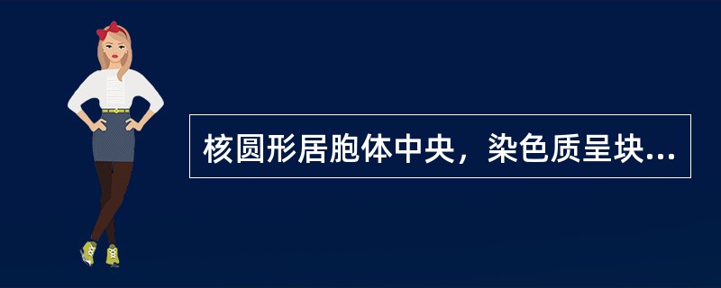 核圆形居胞体中央，染色质呈块状，核仁消失，胞浆呈嗜多色性，该特征符合中幼红细胞。