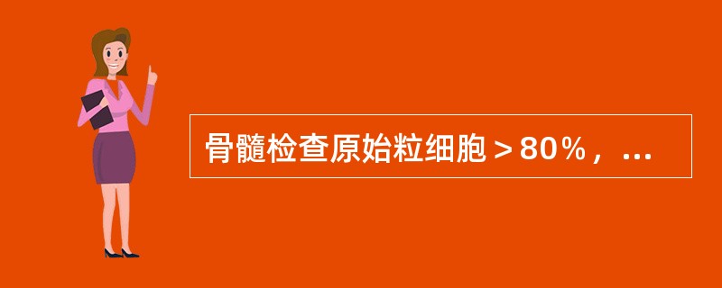 骨髓检查原始粒细胞＞80％，早幼粒细胞12％，单核细胞＜20％的诊断是（）