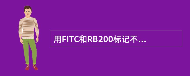 用FITC和RB200标记不同的抗体，对同一标本作荧光染色为（）