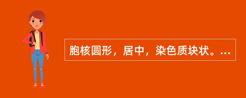 胞核圆形，居中，染色质块状。核仁消失，胞质多色性（）