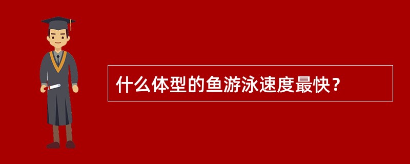 什么体型的鱼游泳速度最快？