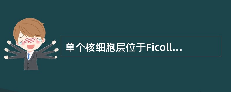 单个核细胞层位于Ficoll分层液的（）