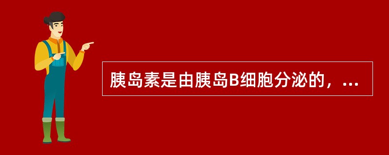 胰岛素是由胰岛B细胞分泌的，其主要生理作用是（）。