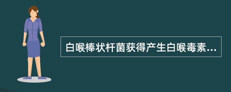 白喉棒状杆菌获得产生白喉毒素的能力是通过（）