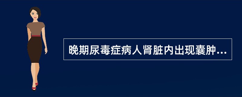 晚期尿毒症病人肾脏内出现囊肿病变的原因是()