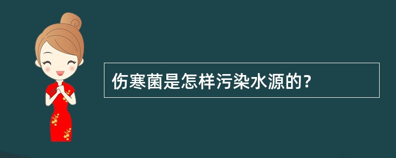 伤寒菌是怎样污染水源的？