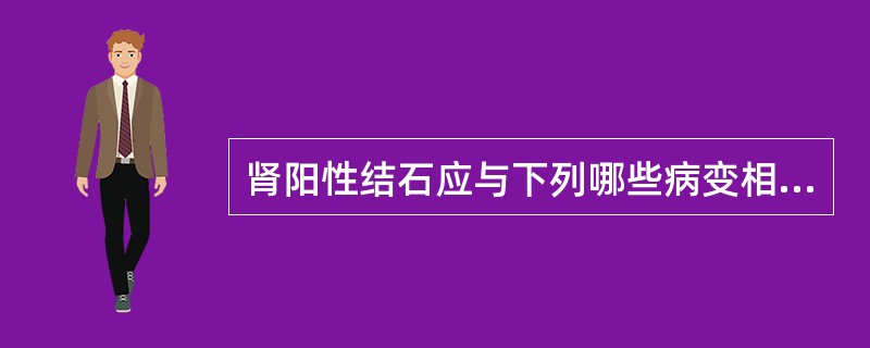 肾阳性结石应与下列哪些病变相鉴别()