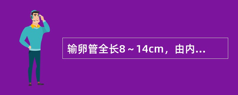 输卵管全长8～14cm，由内向外分为()