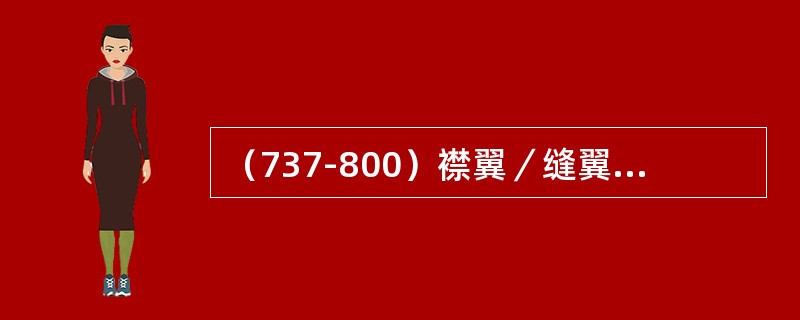 （737-800）襟翼／缝翼电子组件（FSEU）提供（）。