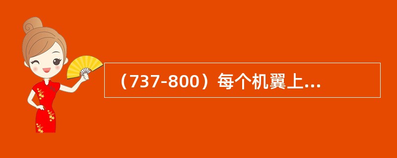 （737-800）每个机翼上飞行扰流板有几块？（）