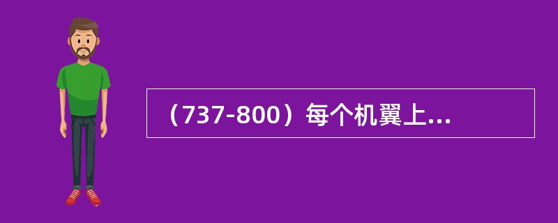（737-800）每个机翼上地面扰流板有几块？（）
