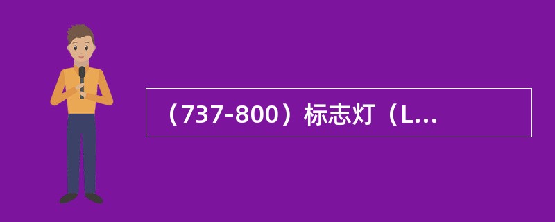 （737-800）标志灯（LOGO）安装在（）。