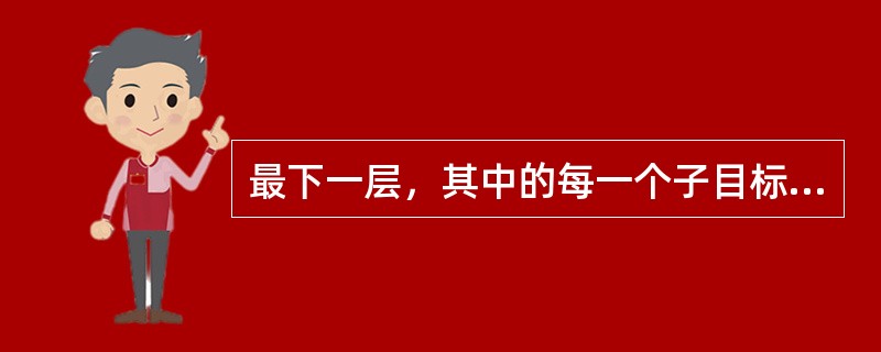 最下一层，其中的每一个子目标都可以用单一准则评价，称之为（）。