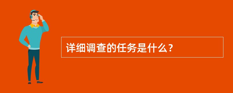 详细调查的任务是什么？