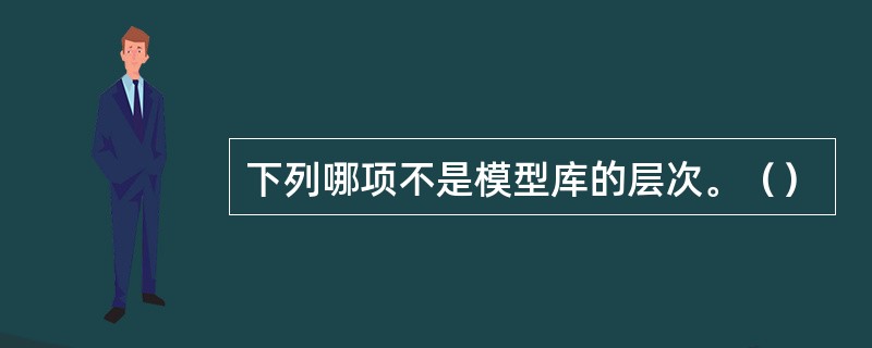 下列哪项不是模型库的层次。（）