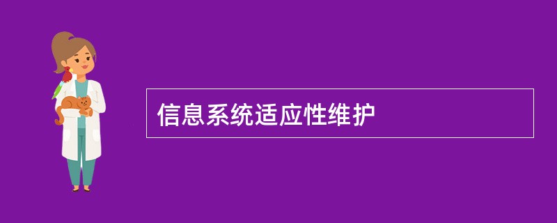 信息系统适应性维护