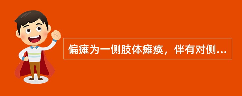偏瘫为一侧肢体瘫痪，伴有对侧脑神经损害。（）