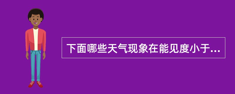 下面哪些天气现象在能见度小于1.0km时应加记最小能见度，并加方括号“（）”。（