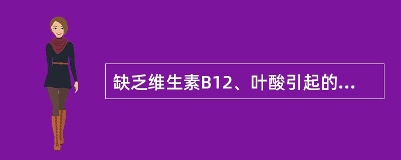 缺乏维生素B12、叶酸引起的贫血是（）