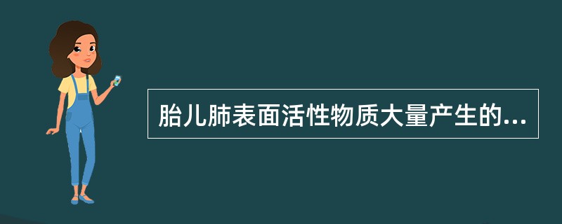 胎儿肺表面活性物质大量产生的时间为（）