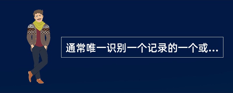 通常唯一识别一个记录的一个或若干个数据项称为（）。