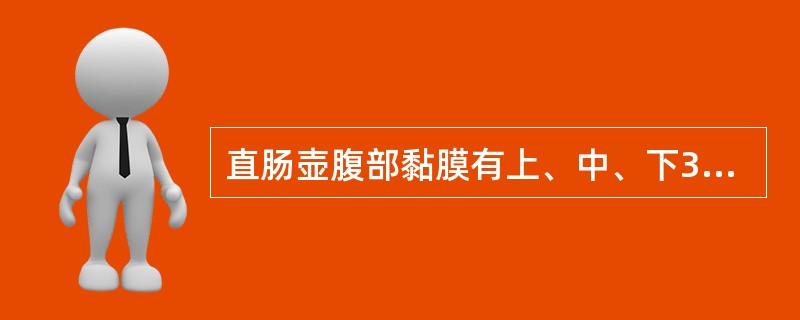 直肠壶腹部黏膜有上、中、下3个横的半月形皱襞，称为（）。