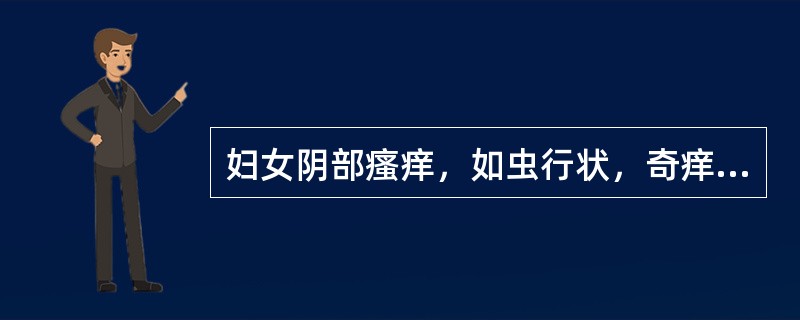 妇女阴部瘙痒，如虫行状，奇痒难忍，灼热疼痛，带下量多，色黄呈泡沫状，口苦咽干，小