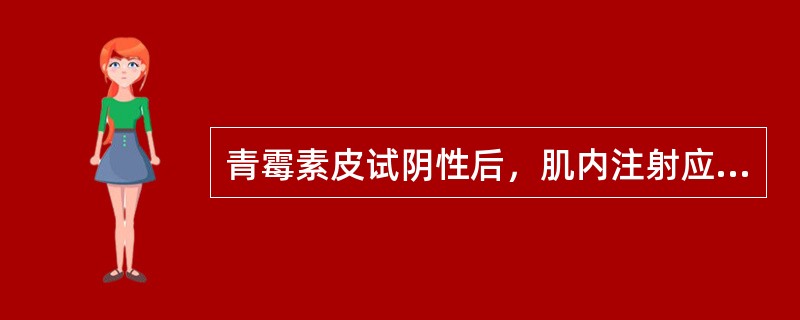 青霉素皮试阴性后，肌内注射应选择在（）