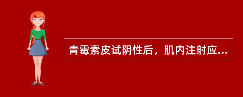 青霉素皮试阴性后，肌内注射应选择在（）