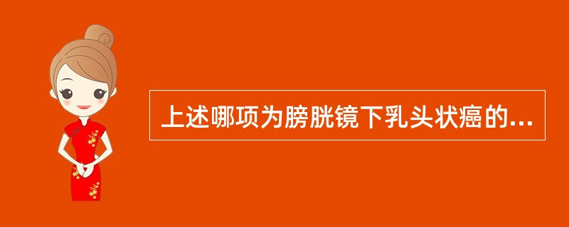 上述哪项为膀胱镜下乳头状癌的表现？（）