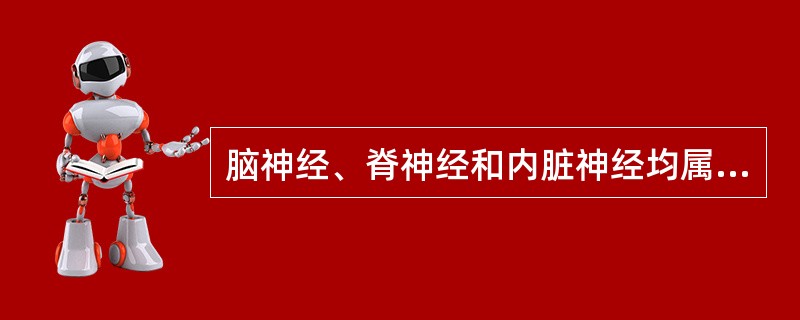 脑神经、脊神经和内脏神经均属于周围神经系统。