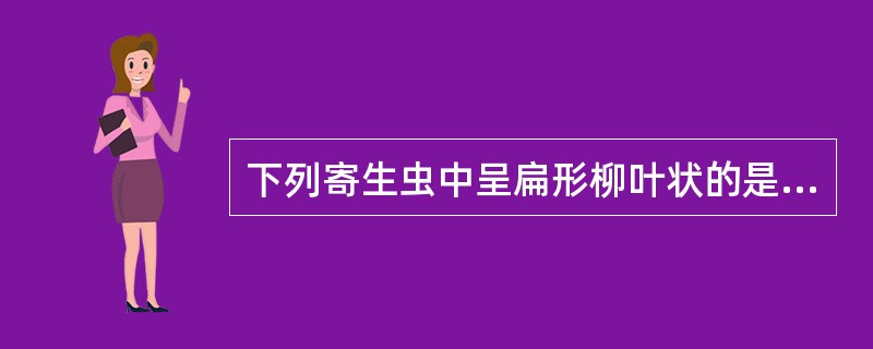 下列寄生虫中呈扁形柳叶状的是（）。