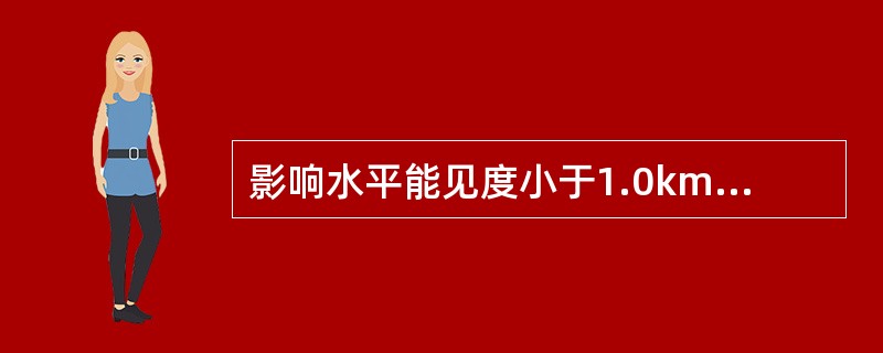 影响水平能见度小于1.0km和需要记录最小能见度的天气现象分别有（）种。