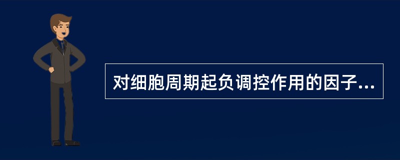 对细胞周期起负调控作用的因子是（）。