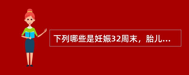 下列哪些是妊娠32周末，胎儿发育特点（）