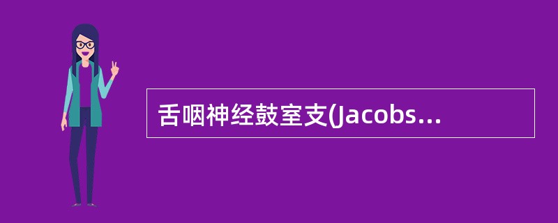舌咽神经鼓室支(Jacobson神经)通过的是()